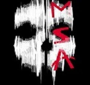 M.S.A Mulpitle Squad Alliance Gaming