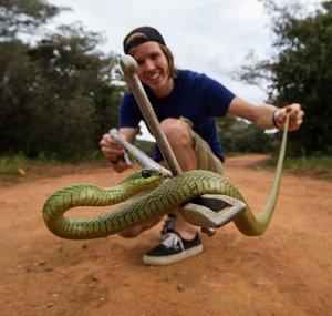 Reptiles Of South Africa - Tyrone Ping