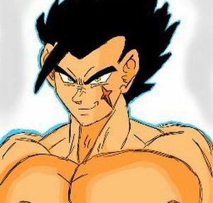 Saiyan Comrades
