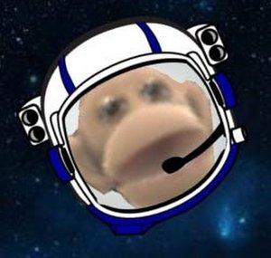 Space XD Monkey