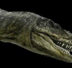 TyrannosaurusBataar