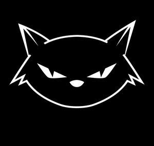 Gato Atómico
