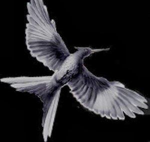 mockingjaynet