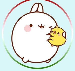 Molang Portuguese