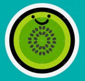 Mr. Kiwi