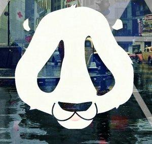 MrSleepyPanda