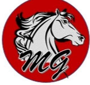 MustangGirl3374