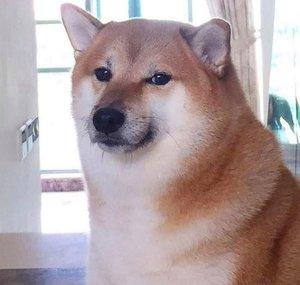 Peeperushki