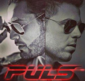 PULS 030