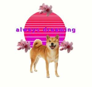 s h i b a d a d