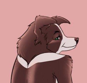 SpiritShadowWolf15