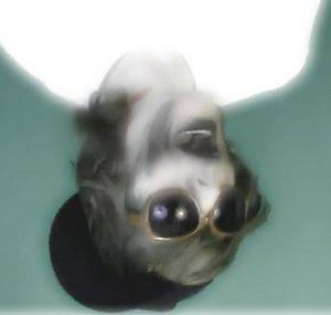 WebCameraFreak