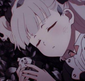 astra asmr✫彡