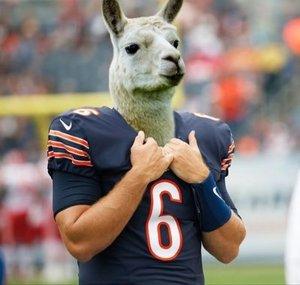 JayNFL