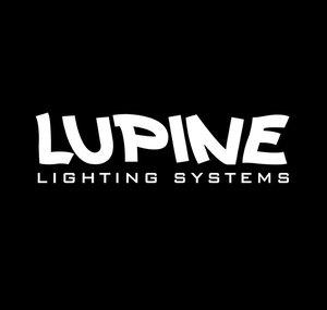 Lupine Lights