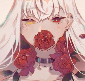 Mei 命