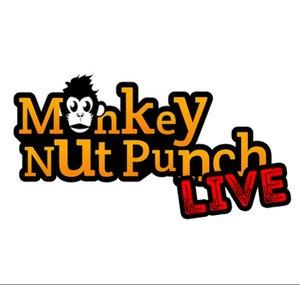 Monkey Nut Punch Live
