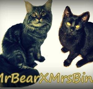 MrBearXMrsBinxx