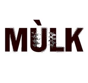 Mulk The Band