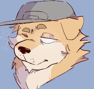 okayshibe