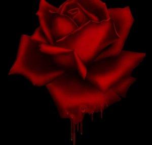BloodRose