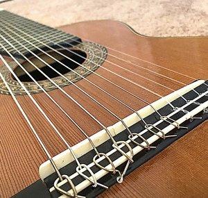 Leo Moreira guitar