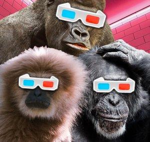 Neon Apes
