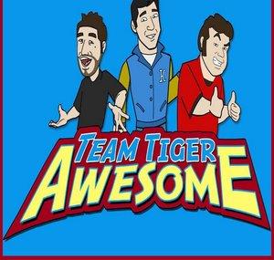 TeamTigerAwesome1