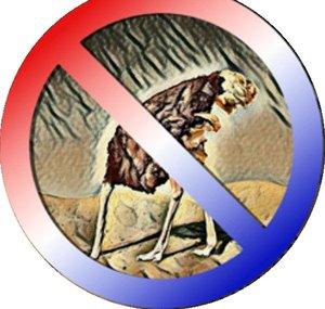 The Democracy Defense League