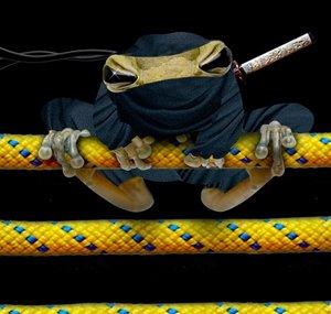 TheFailNinjaFrog