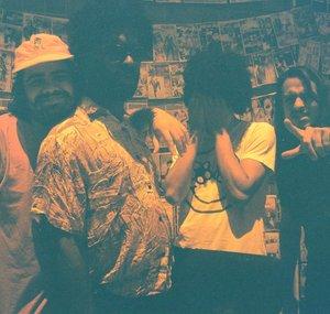 Boogarins