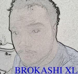 Brokashi XL