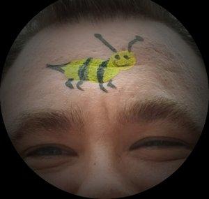 🐝Brumbassen🐝