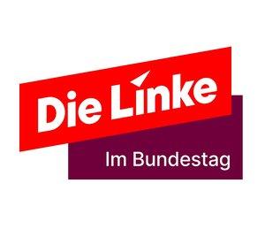 Die Linke im Bundestag