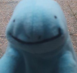 QUAGSIRE'S CHANNEL