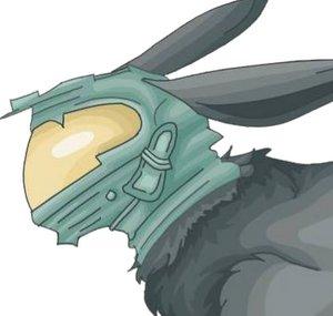 Rabbit