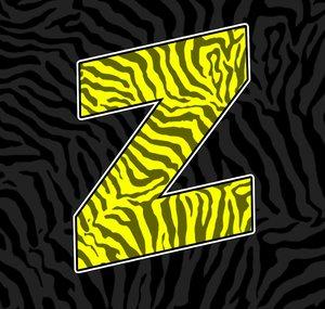 TheFlamingZebra | Shorts