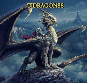 Tidragon88