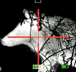 Ultimate Night Vision