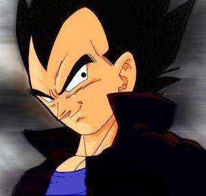 vegetabudokai549