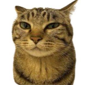 Ekical