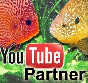 FischbottichTV Nils