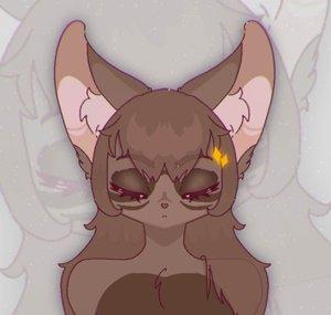 Fluff.candyfox