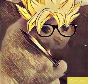 GatoSuave :D