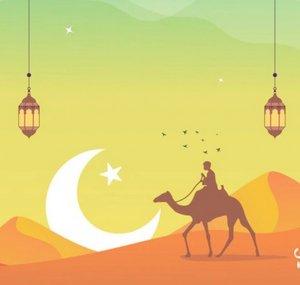 Holy Camel