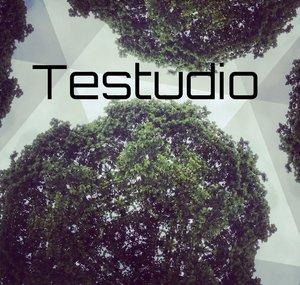 Testudio
