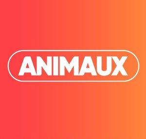 Animaux TV
