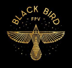 Black Bird FPV