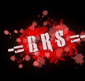 Bladerunners Systems