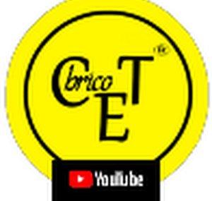 CapoteandoElTemporal Brico